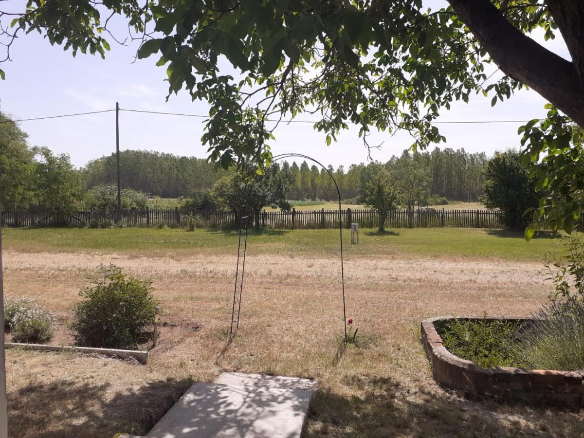Camping Fantazia Tanya Szentkirály Εξωτερικό φωτογραφία
